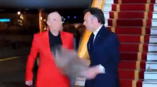 Thumbnail for Someone's A.I. idea of Macron giving a helping hand
