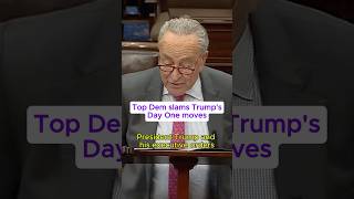 Thumbnail for Top Dem slams Trump's Day One moves | MS NOW