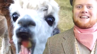 Thumbnail for Alpaca Butter Brittle