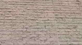 Thumbnail for Fuck your pigeon spikes cunts 