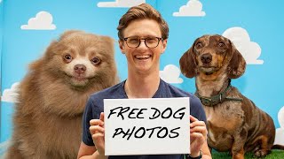 Thumbnail for I Set Up A Free Dog Photo Shoot To Pet More Dogs | Max Fosh