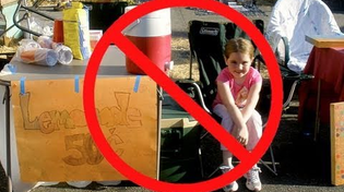 Thumbnail for The War on Lemonade Stands! Nanny of the Month (June 2011)
