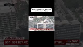 Thumbnail for HUGE TURNOUT in LA for anti-Trump protest