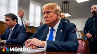 Thumbnail for 'Ticket to prison': Retired NYC judge weighs in on Trump sentencing  | MS NOW