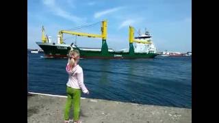 Thumbnail for Girl honks at ship | Tobias Hansson