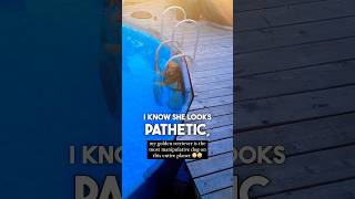 Thumbnail for The Most DRAMATIC Dog Ever 😂 | Brennan Rogers