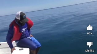 Thumbnail for Ever seen a grown nigger getting taught how to... float in water?