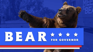 Thumbnail for Vote Bear