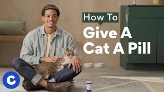 Thumbnail for How To Give a Cat a Pill | Chewtorials