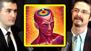 Thumbnail for What is a DMT trip like and who are the entities you meet? | Matthew Johnson and Lex Fridman | Lex Clips
