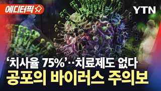 Thumbnail for [에디터픽] '치사율 75%' 치료제도 없다…'1급 감염병' 지정, 코로나 이후 처음 / YTN |  YTN