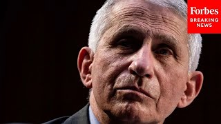 Thumbnail for BREAKING NEWS: GOP Reps Claim Fauci Served Unlawfully Over A Year Due To 'Unprecedented' Becerra Act | Forbes Breaking News