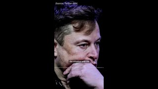 Thumbnail for ‘Significant’: Musk’s assassination claim | The Daily Telegraph