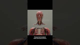 Thumbnail for Head Transplant Machine 😨 Surgeon Reacts | Dr. Michael Gartner FACS Plastic Surgeon