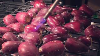 Thumbnail for How to make Prickly Pear Jelly | Cedar Country Archery