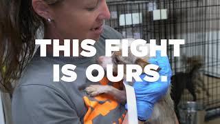 Thumbnail for Your Voice - 90 Seconds - Donate Now