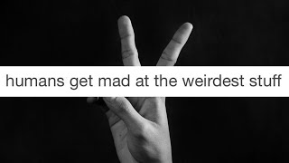 Thumbnail for Humans get mad at the weirdest stuff | Jeaney Collects
