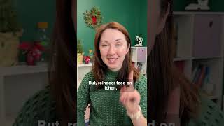 Thumbnail for Why Reindeer Eyes Change Color! | Museum of Science