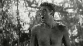 Thumbnail for Johnny Weismuller Tarzan Call | Soldier_Why