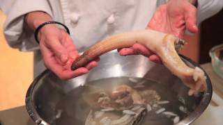 Thumbnail for How to clean a geoduck | Becky Selengut
