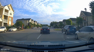 Thumbnail for Nigger Runs Stop Sign Then Rear Ends A Truck