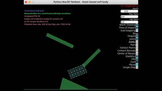 Thumbnail for Simulation of a voxel-based soft body