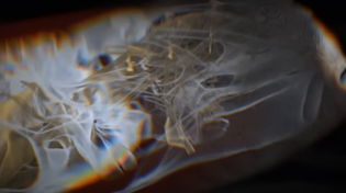 Thumbnail for TOOL - Vicarious