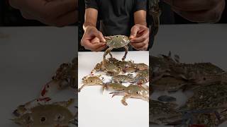Thumbnail for Indian style Crab Soup #shorts | Great Indian Asmr