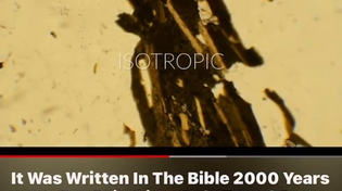 Thumbnail for An interesting argument for the validity of the bible.