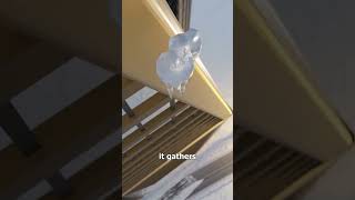 Thumbnail for How Falling Icicles Can Kill You 😱 | Zack D. Films