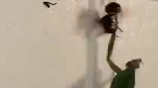 Thumbnail for Hornet v Praying Mantis