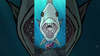 Thumbnail for Sheepshead 🦷🐟 #animation #original #cartoon | SQFT Fish