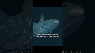 Thumbnail for An Odd Fish | The History Guy: History Deserves to Be Remembered