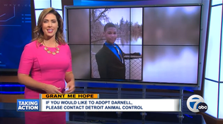 Thumbnail for Grant Me Hope - Darnell original content