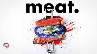 Thumbnail for Eating less Meat won't save the Planet. Here's Why | What I've Learned