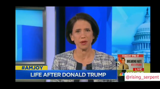Thumbnail for “It’s not only that Donald Trump has to lose, his enablers have to lose. We have to collectively burn down the Republican Party. We have to level them. Because if there are survivors....they will do it again.” Jennifer Rubin