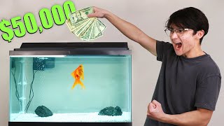 Thumbnail for I Gave My Goldfish $50,000 to Trade Stocks | Michael Reeves