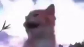 Thumbnail for How it feels to take 15 adderall and jerk off until you die | FunnyMemeSpot _