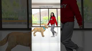 Thumbnail for How to Enter a Concert for Free | im_siowei