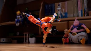 Thumbnail for Dragonball - Goku Practices Martial Arts | Stop Motion