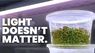 Thumbnail for 4 Things I Got Totally Wrong About Tissue Culture | Plants in Jars