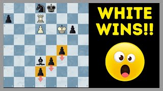 Thumbnail for This Puzzle Just Blew My Mind - Insane Chess Problem