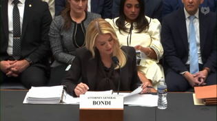 Thumbnail for Spam blondi Epstein hearing quickly devolves into...care to guess?...a screeching match over who loves kikes more