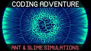Thumbnail for Coding Adventure: Ant and Slime Simulations | Sebastian Lague