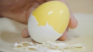 Thumbnail for How to Scramble Eggs Inside Their Shell - NEW VERSION