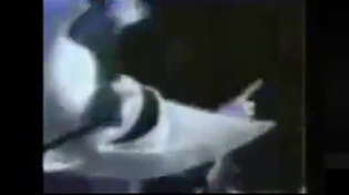 Thumbnail for Moonman - Im Killing Niggers