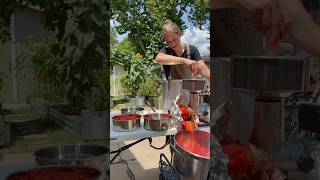 Thumbnail for Preserving Tomatoes - Lets Make Sauce! #backyardgardening #growyourownfood #backyardhomestead | Bre Ellis