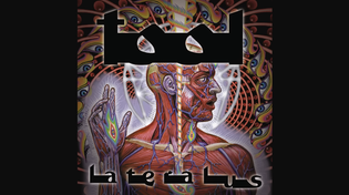 Thumbnail for TOOL - Reflection