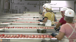Thumbnail for I, Tomato: Morning Star's Radical Approach to Management