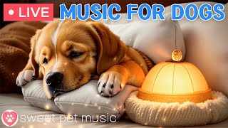 Thumbnail for 24/7 Psychological stability music for anxious dogs｜Separation Anxiety Music & Stress Relief Music | Sweet Pet Music - Dog TV